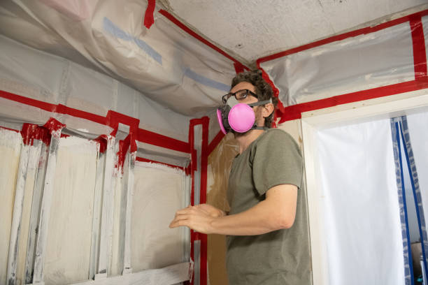 Best Real Estate Mold Inspection  in Cullman, AL
