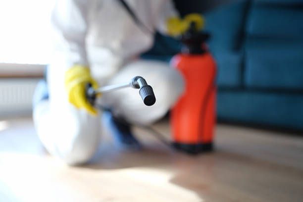 Best Water Damage & Mold Remediation  in Cullman, AL