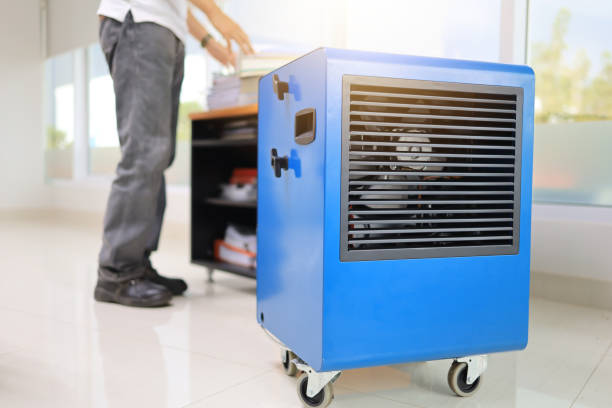 Best Basement Mold Removal  in Cullman, AL