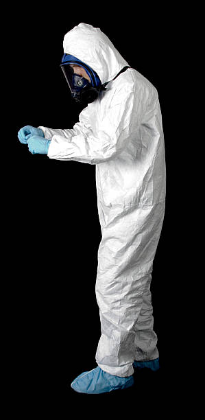 Best Black Mold Removal  in Cullman, AL