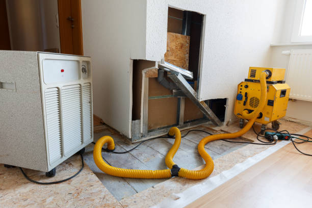 Best Water Damage & Mold Remediation  in Cullman, AL