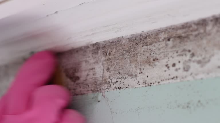 Best Dehumidification Services  in Cullman, AL